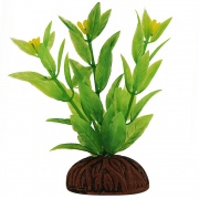 Растение пластик Альтернантера зеленая цветущая 8см купить в Новосибирске