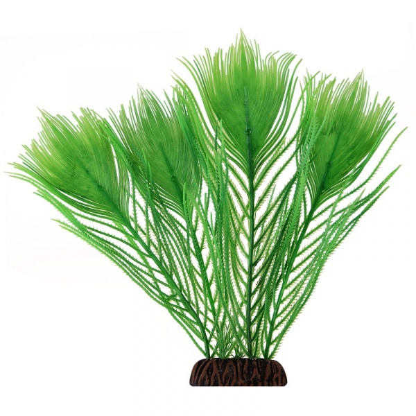 Растение пластик Эгерия 25см