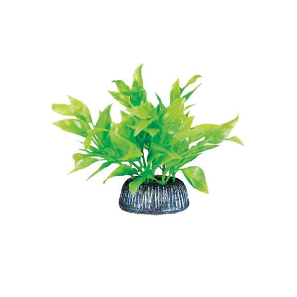 Растение пластик Альтернантера зеленая 8см
