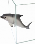 Декорация пласт Prime Дельфин на магнитах 24*6,5*9см купить в Новосибирске