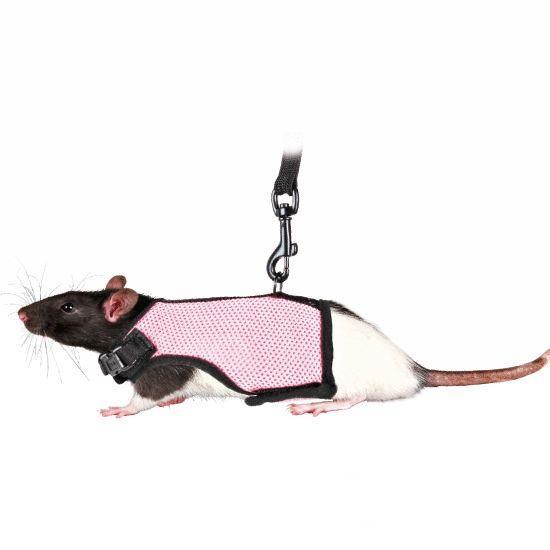 TRIXIE Шлейка-жилетка для крысы  для грызунов