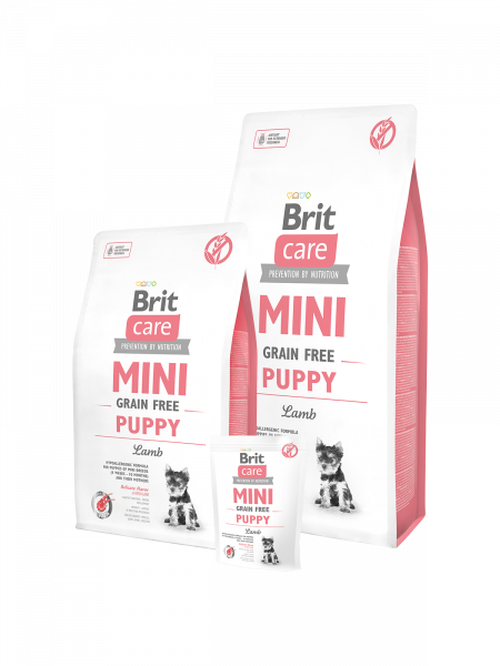 BRIT Care MINI для щенков мини пород 2кг беззерновой Ягненок