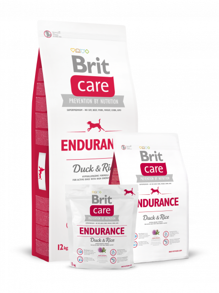 BRIT Care для активных собак всех пород 3кг утка/рис
