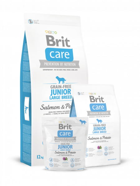 BRIT Care для собак юниоров крупных пород 12кг лосось/картофель