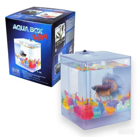 Аквариум Aqua Box Betta 3л 15*15*17 см для петушков (AA1515) купить в ЗООмагазине Два друга в Новосибирске