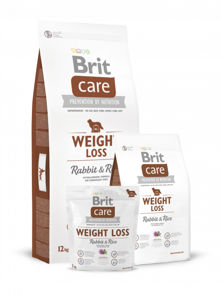 BRIT Care для собак склонных к полноте кролик/рисом 3кг